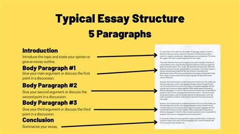 how many body paragraphs should an essay have and why is the number of paragraphs in an essay important?